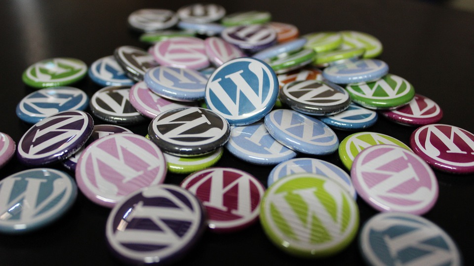 WordPress is by far the most commonly used content management system on the market.